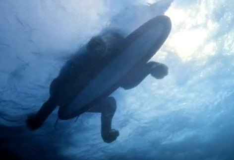 Oversize Shipping - Oversize Shipping